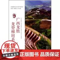 广西龙胜龙脊梯田系统