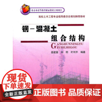 钢一混凝土组合结构