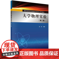 大学物理实验(第二版)