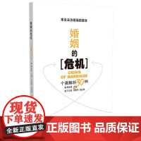 婚姻的危机:个案解析30例
