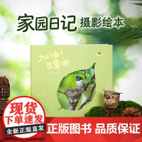 家园日记——加油!出巢吧