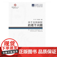 同济博士论丛——关于全纯影射的若干问题