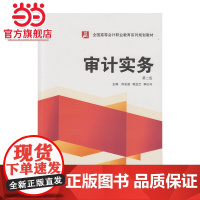 审计实务(第二版)