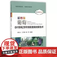 彩图版葡萄6叶剪梢2芽冬剪配套栽培新技术