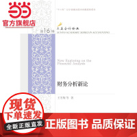 财务分析新论