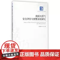 我国天然气安全评价与预警系统研究
