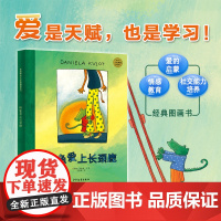 麦田精选大师典藏图画书 鳄鱼爱上长颈鹿