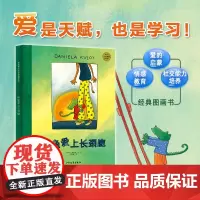 麦田精选大师典藏图画书 鳄鱼爱上长颈鹿