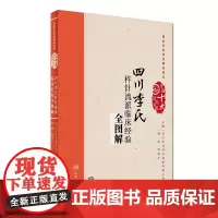 [ 正版书籍]四川李氏杵针流派临床经验全图解(配增值) 人民卫生出版社