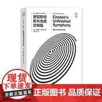 第一推动丛书宇宙系列:爱因斯坦的未完成交响曲