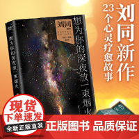 想为你的深夜放一束烟火刘同2022新书 搭你的孤独虽败犹荣+谁的青春不迷茫+我在未来等你+向着光亮那方+别做那只迷途的