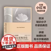 狐狸在夜晚来临(诺特博姆作品) 塞斯·诺特博姆 杜冬 译 译林出版社 正版书籍