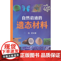 自然启迪的遗态材料