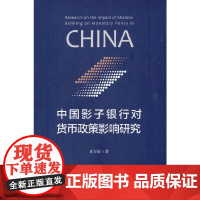 中国影子银行对货币政策影响研究