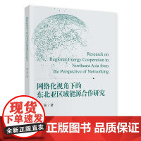 网络化视角下的东北亚区域能源合作研究