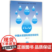 中国水资源利用效率研究