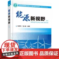 能源新视野 张翠华 化学工业出版社 正版书籍