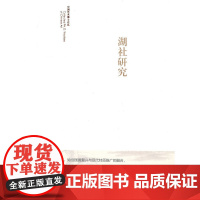 湖社研究(中国艺术博士论丛)