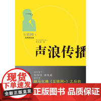 声浪传播——互联网+品牌营销