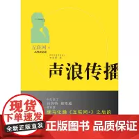 声浪传播——互联网+品牌营销