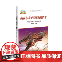 画说小龙虾养殖关键技术