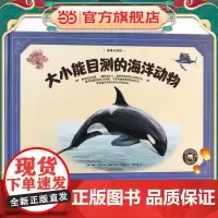 动物大百科·大小能目测的海洋动物