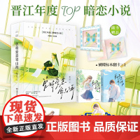 曾将爱意寄山海(特签版)梨迟著 暗恋文天花板