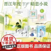 曾将爱意寄山海(特签版)梨迟著 暗恋文天花板