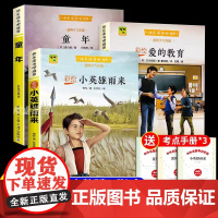 快乐读书吧六年级上全3册 童年+小英雄雨来+爱的教育 彩色注音版小学6年级上学期课外阅读书籍小学生青少年课外阅读书籍三四