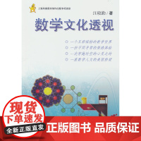 数学文化透视