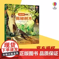 尤斯伯恩看里面 揭秘树木