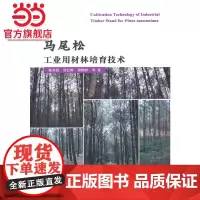 马尾松工业 用材林培育.杨章旗 等著9787503880322中国林业出版社
