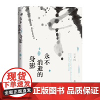 永不消逝的身影 王充闾 人民文学出版社 正版书籍