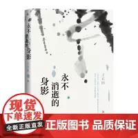永不消逝的身影 王充闾 人民文学出版社 正版书籍