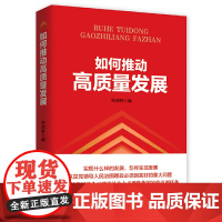 如何推动高质量发展 任初轩 人民日报出版社 正版书籍