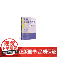 辫子 莱蒂西娅·科隆巴尼 人民文学出版社 正版书籍