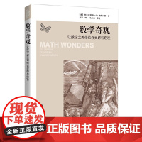 [ 正版书籍]数学奇观——让数学之美带给你灵感与启发