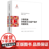 少数民族非物质文化遗产保护问题研究