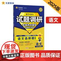 试题调研 热点题型专练 语文 选择题 高考必刷题 2025年新版 天星教育