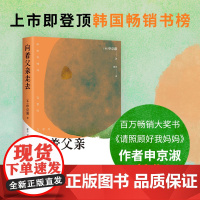 向着父亲走去 请照顾好我妈妈 作者申京淑新作 东亚女儿给沉默父亲的深情告白 重新书写 父亲的形象 外国文学小说正版书籍