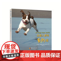 汪星人都有多动症 凯茜?霍佩曼 华夏出版社 正版书籍