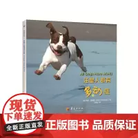 汪星人都有多动症 凯茜?霍佩曼 华夏出版社 正版书籍