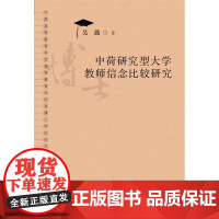 中荷研究型大学教师信念比较研究 吴薇 广东高等教育出版社 正版书籍