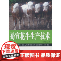 蜀宣花牛生产技