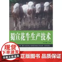 蜀宣花牛生产技