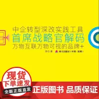 首席战略官解码 : 万物互联万物可视的品牌+