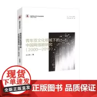 青年亚文化视域下的中国网络剧研究(2000—2019)