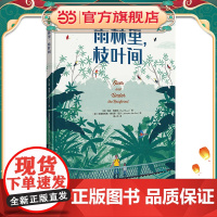 雨林里,枝叶间(让孩子从雨林的勃勃生机中汲取向上的生命力量)