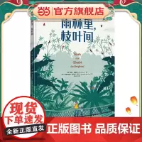 雨林里,枝叶间(让孩子从雨林的勃勃生机中汲取向上的生命力量)