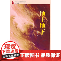地上地下(中国专业作家作品典藏文库·石钟山卷) 石钟山 中国文史出版社 正版书籍